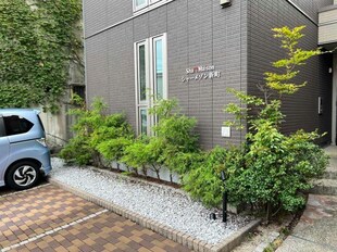 シャーメゾン新町の物件外観写真